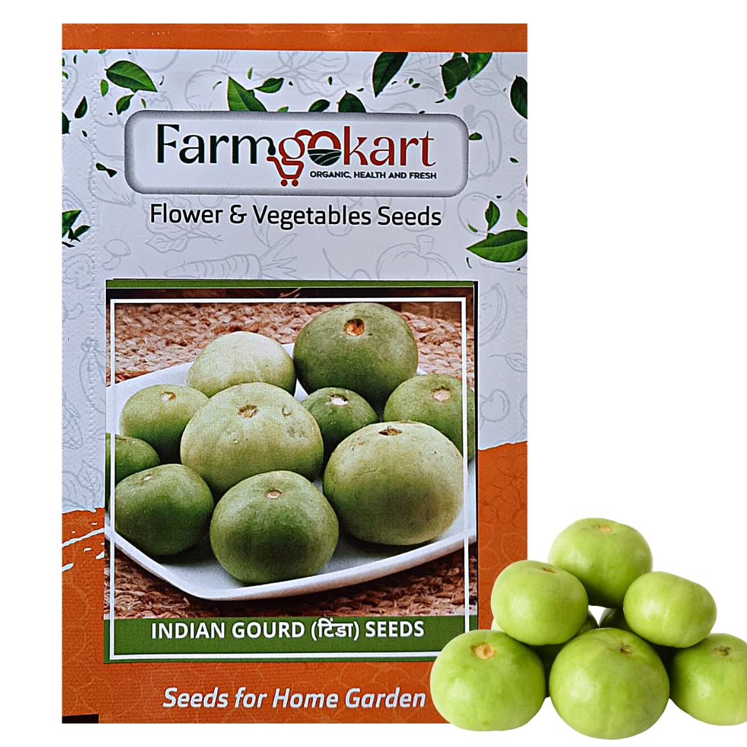 Farmgokart | INDIAN ROUDN GOURD (TINDA, TINSI) SEEDS (Appx 40 Nos Seeds Per Packet) |Best Suitable For Home Gardening |