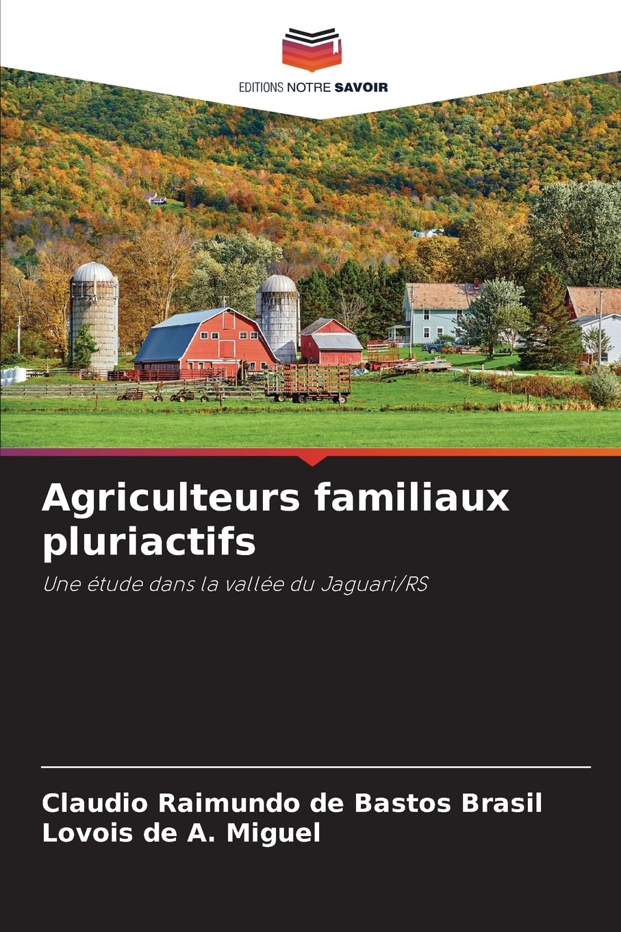 Agriculteurs familiaux pluriactifs: Une étude dans la vallée du Jaguari/RS