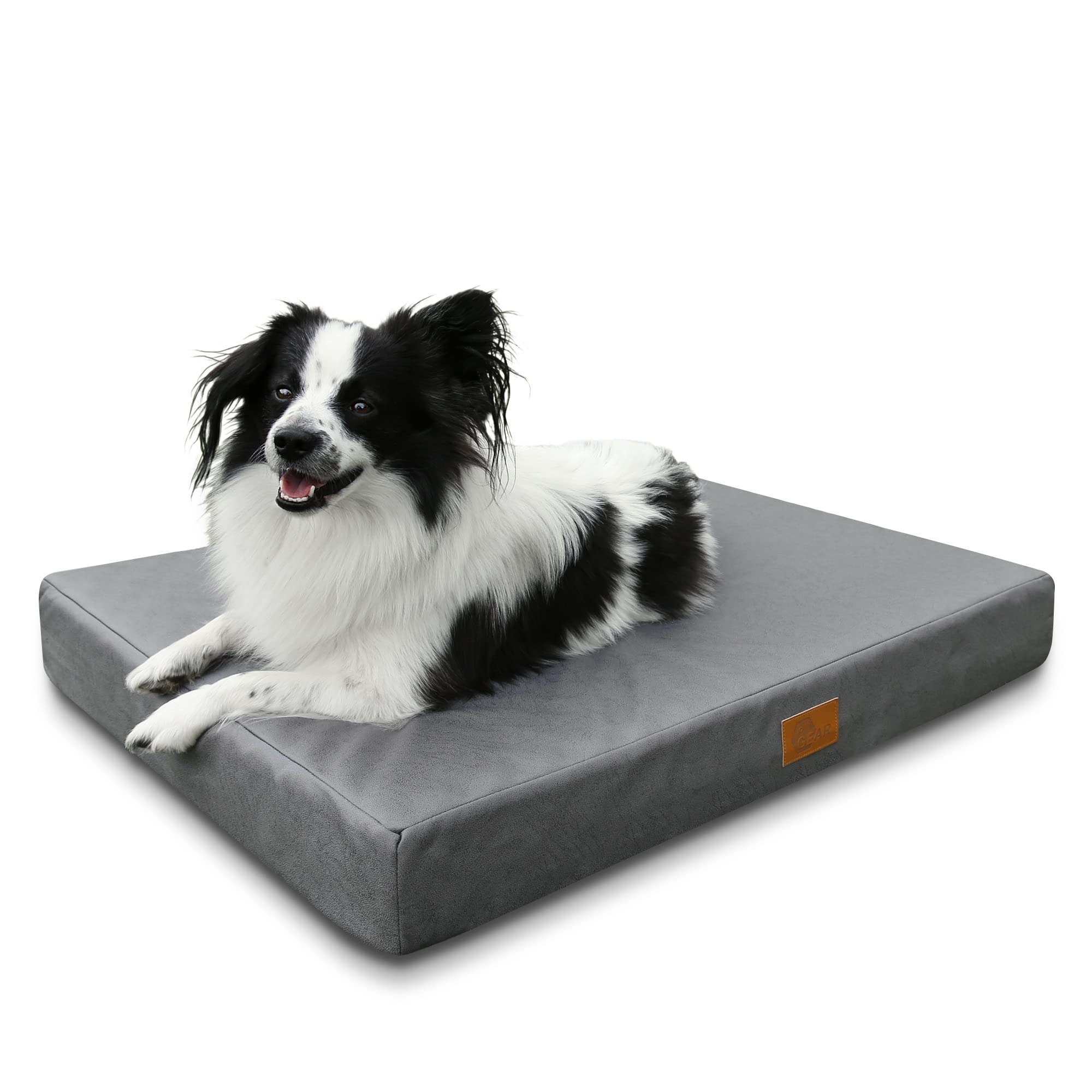 your GEAR Biella - Cama ortopédica para Perros, 100 x 70 x 10 cm, Lavable