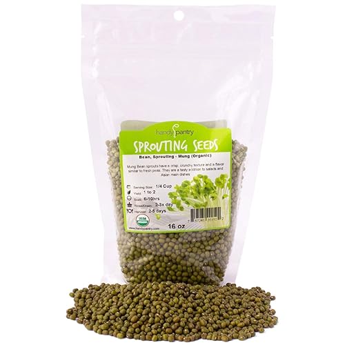 Semilla de germinación de frijol mungo 1 libra, orgánica, sin OMG - Marca Handy Pantry - Frijoles Mungos secos para brotes, plantación de jardín,
