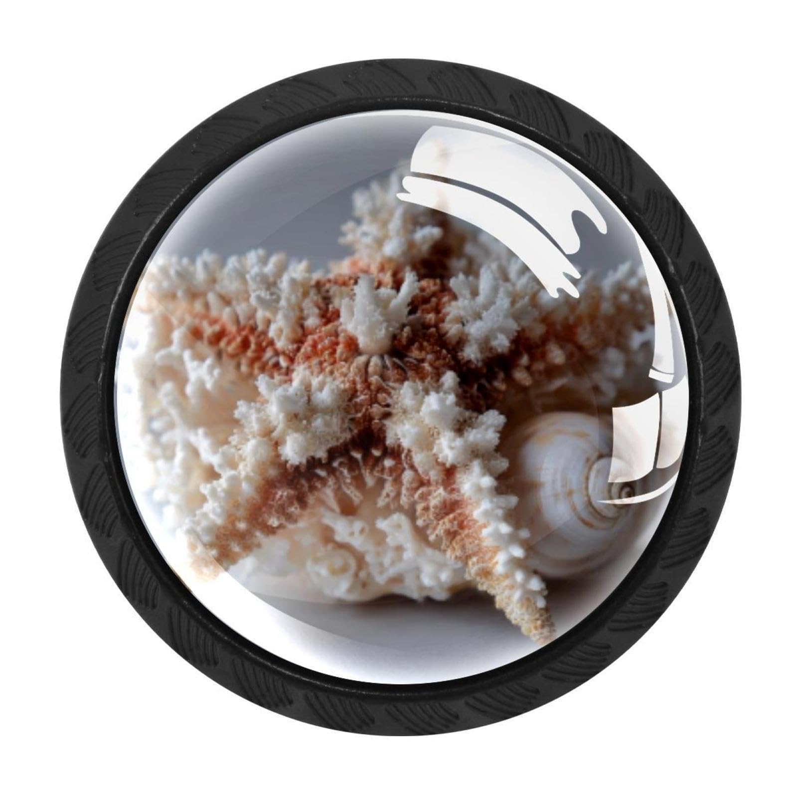 CHENZZZZ 4 Pieces Kitchen Cabinet Drawer Dresser Door Knobs Pulls Handles, Starfish Coral Shell (3)
