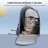 Ver la foto 6
