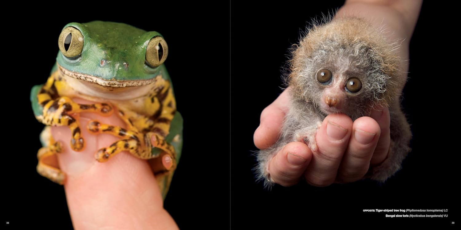 National Geographic The Photo Ark: One Man's Quest to Document the World's Animals - Image 2