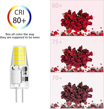 G4 LED Bulb 3W Equivalent to 20W-25W T3 JC Type Bi-Pin G4 Base Halogen Bulb, AC/DC 12V Daylight White 6000K G4 Bulb for Puck Light, RV, Under Counter Kitchen Lighting, Under Cabinet Light (10 Pack)