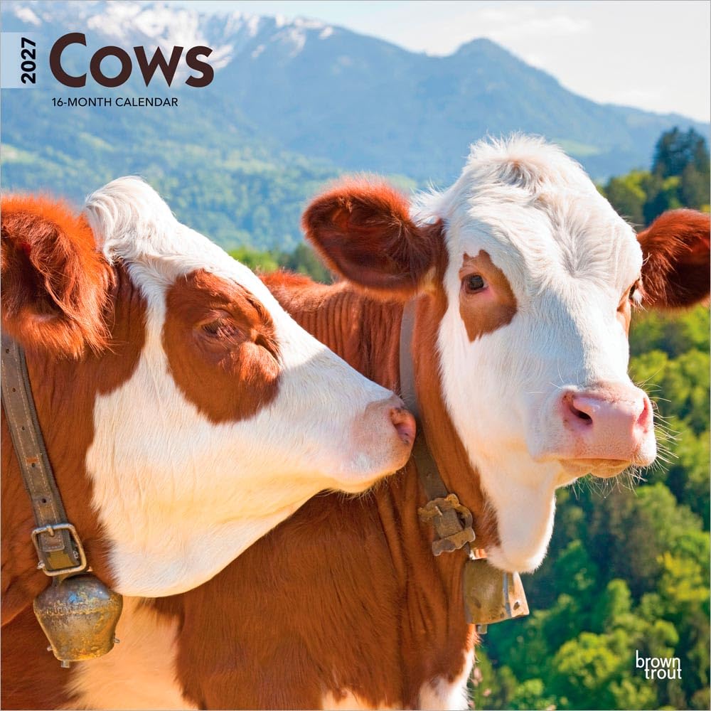 Cows 2027 12 X 24 Inch (Hanging) Monthly Square Wall Calendar Plastic-Free: Original BrownTrout-Kalender [Mehrsprachig] [Kalender]