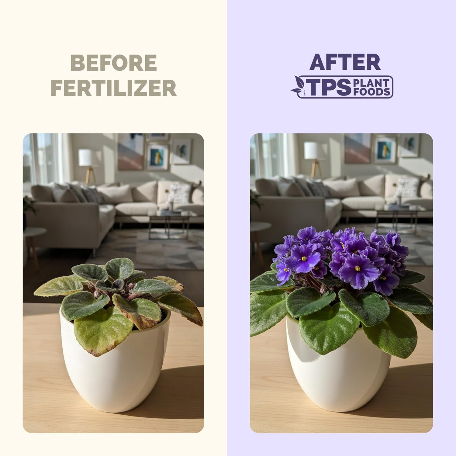 African Violet Fertilizer – Liquid Plant Food for More Blooms, Rich Green Leaves & Healthy Root Development, 1 Gallon