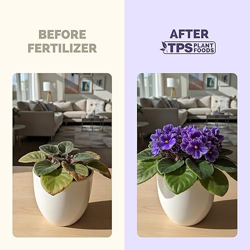 Miniatura 3 de Fertilizante violeta africana  Alimento líquido para plantas de interior de violeta africana, 8 onzas