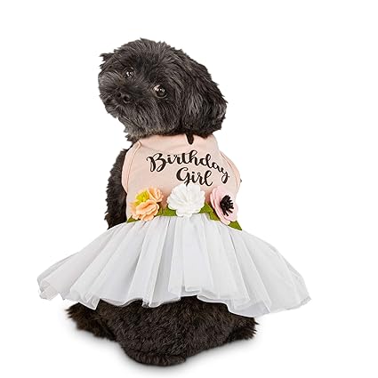 Bond & Co. Birthday Girl Dog Dress, Large, Pink / White