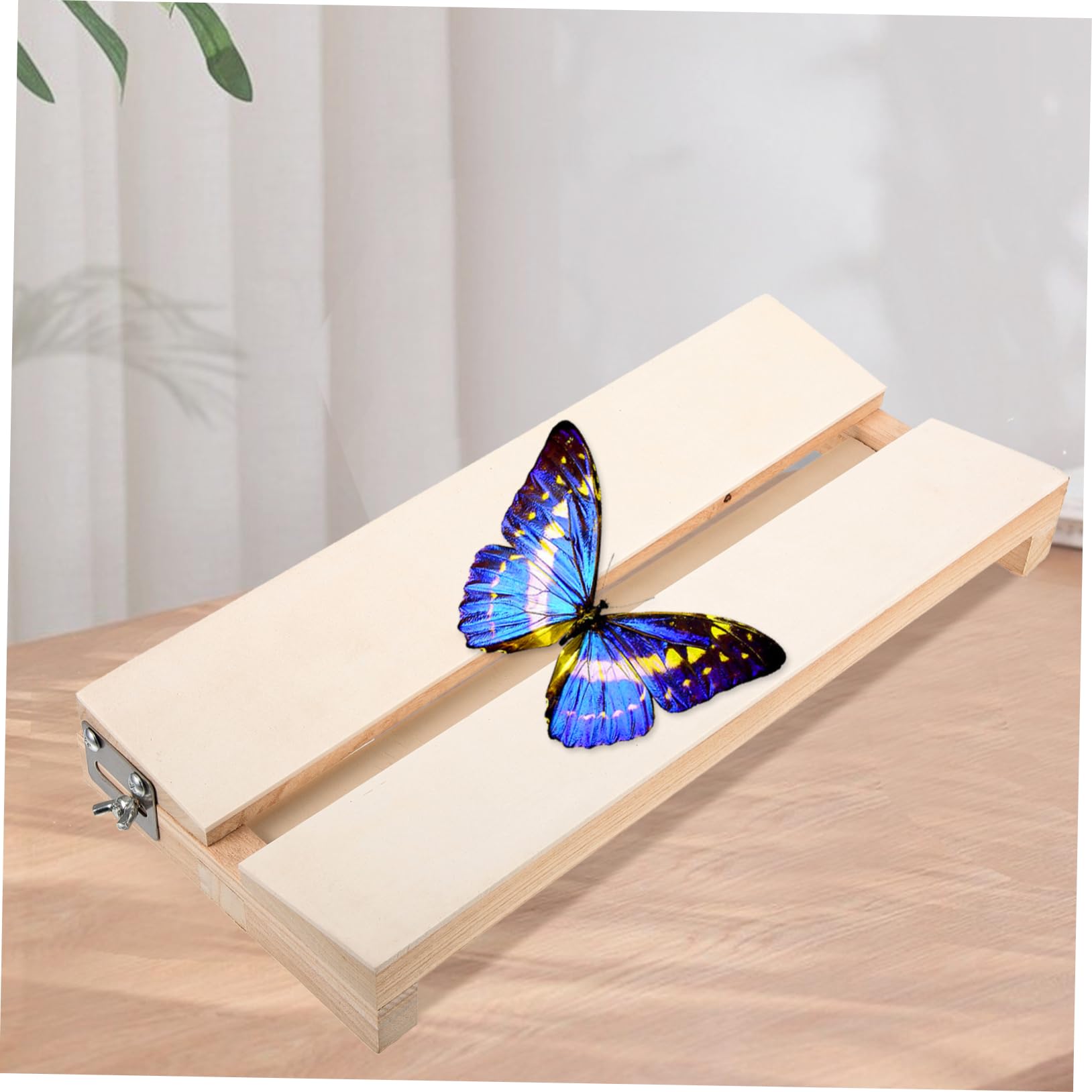 STOBAZA Butterfly Wings Butterflies Making Insect Specimen Tools Kit Butterflys Butterfly Display Board Wings Spreading Board Specimen Display Panel Wing Spreading Board Wing Board Foam