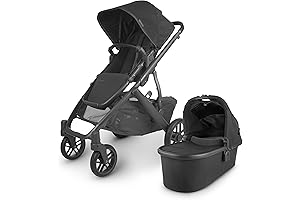 UPPAbaby Vista V2 Double Stroller The Best Double Stroller For Year-round Use