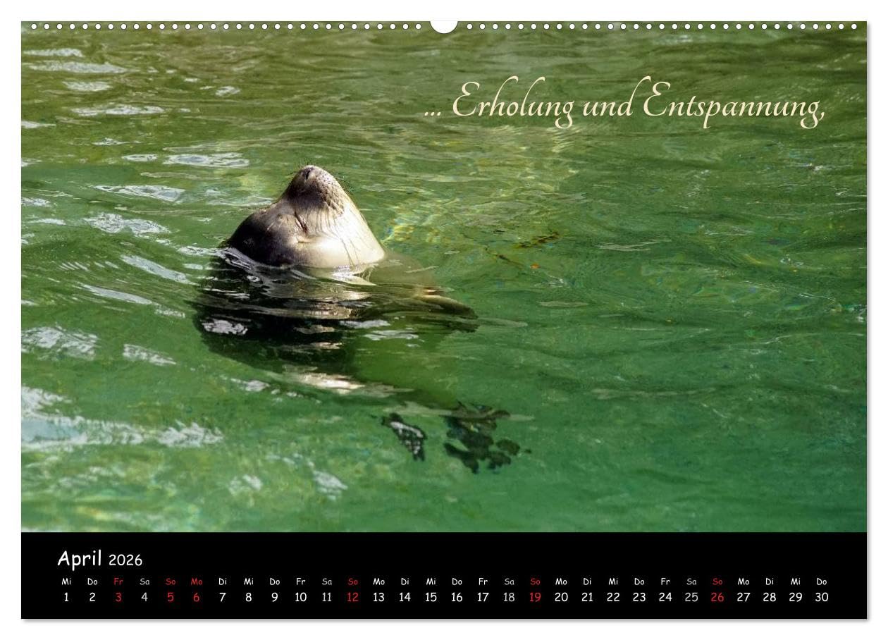 Gut gelaunt durch's Rentenjahr (Wandkalender 2026 DIN A2 quer), CALVENDO Monatskalender: Mit lustigen Motiven durch den Ruhestand (CALVENDO Menschen)