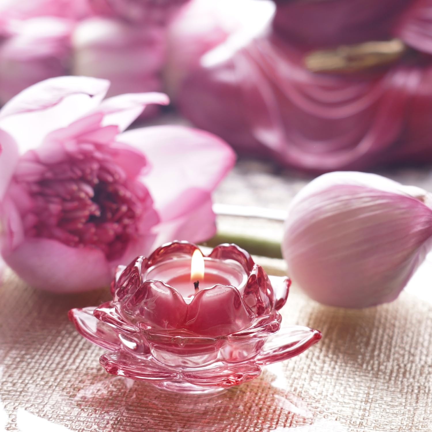 Pure Home + Living Set of 3 Rose Coloured Glass Lotus Shaped Tealight Holders