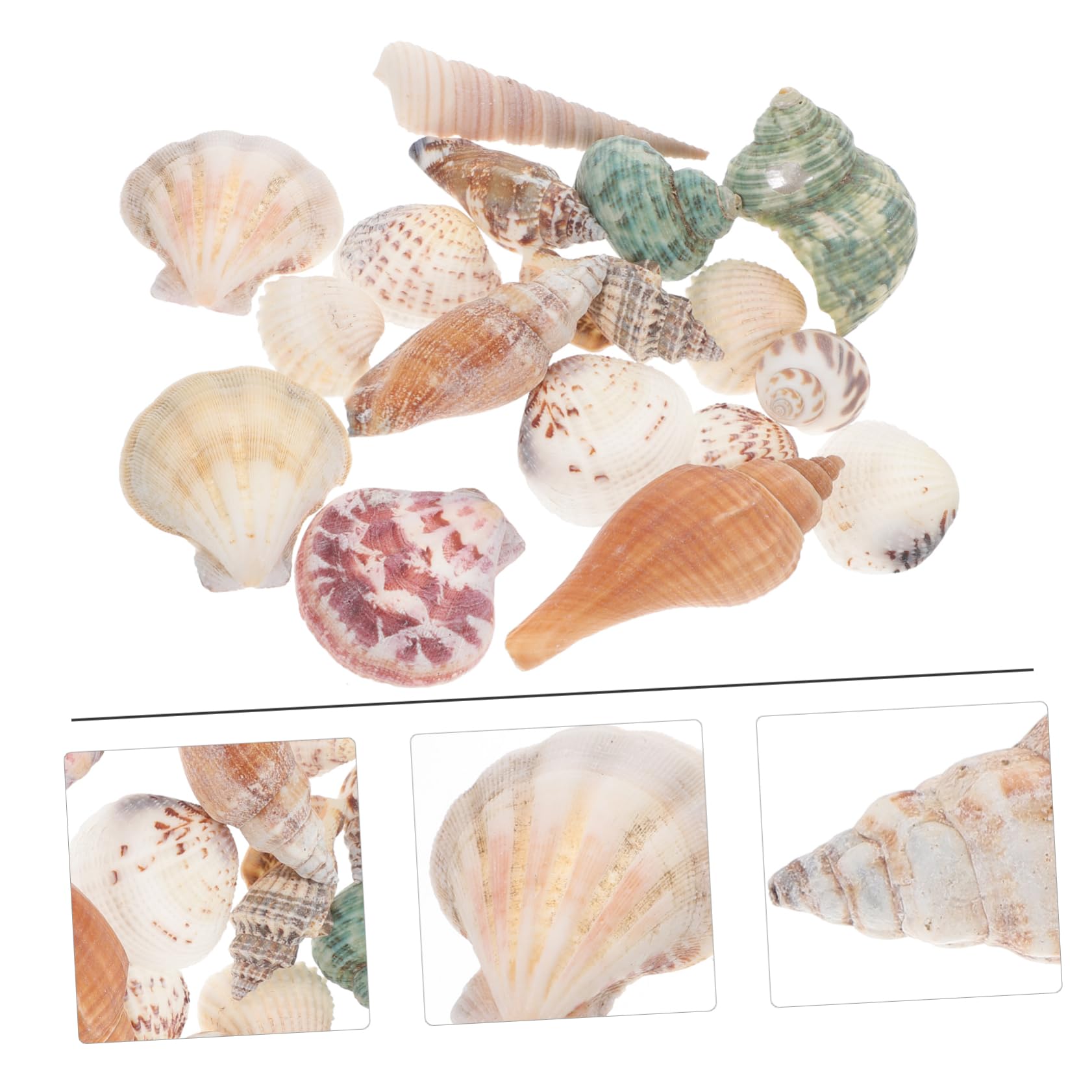 Yardwe 5 Boxes DIY Accessories Fish Tank Adornment Desktop Shell Ornament Set