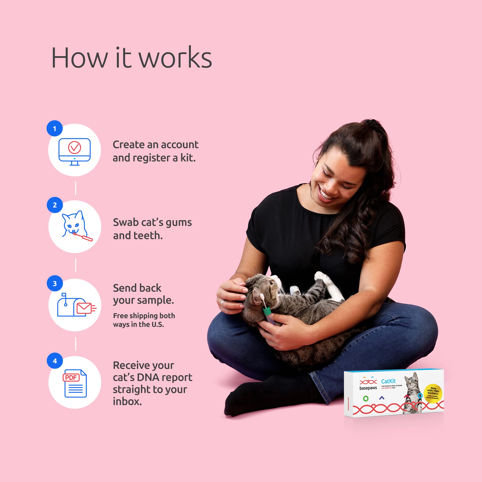 Basepaws Cat DNA Test Breed + Health + Dental Report Top Cat Breeds