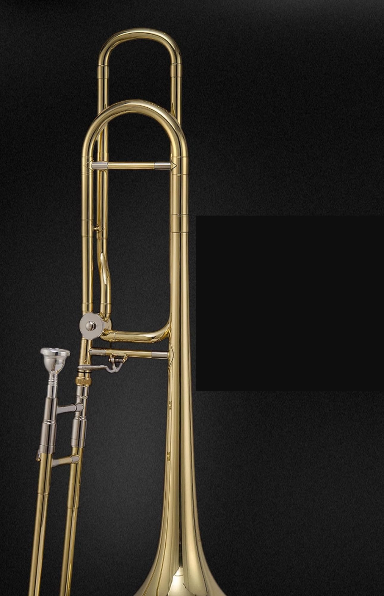 Tenorposaune In Der Tonart B Bis F Blechblasinstrument Für Erwachsene Profiposaune