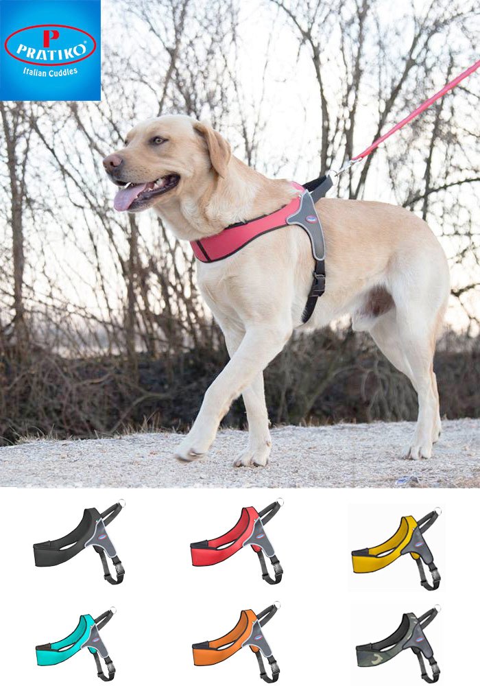 Amazon | PRATIKO・プラティコ ハーネスストロング 大型犬用 サイズ 1