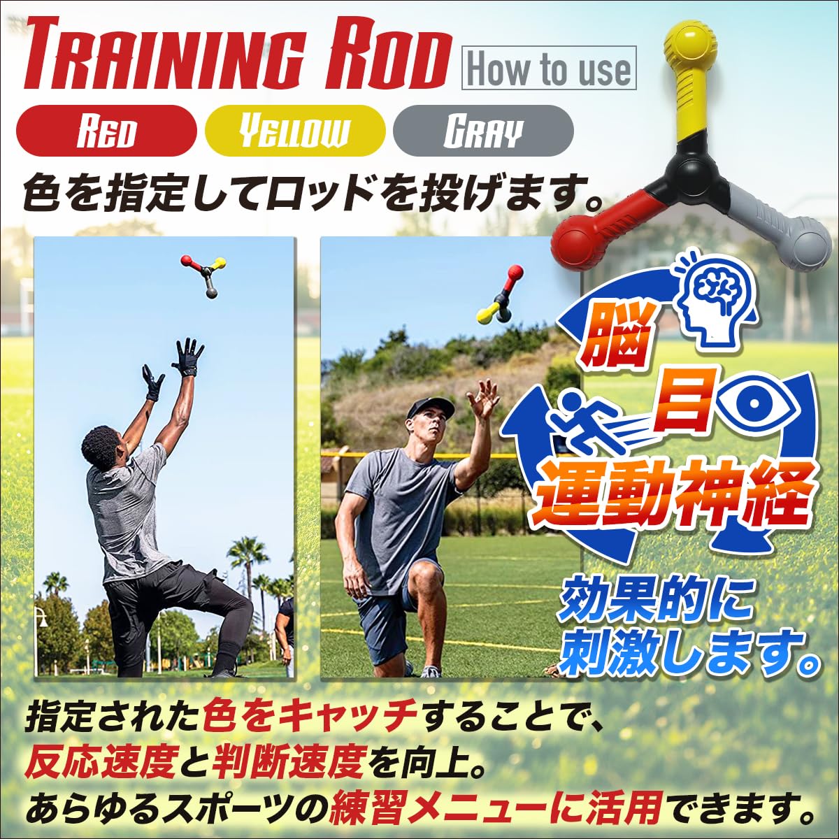 Amazon | SALUDABLE リアクションボール 6個 トレーニングロッド 反射