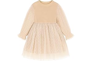 Toddler Girl Long Sleeve Dress: Princess Lace and Tulle