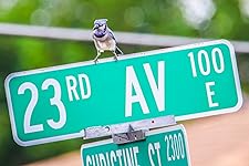 Review Image by Ian Jones Ian Jones