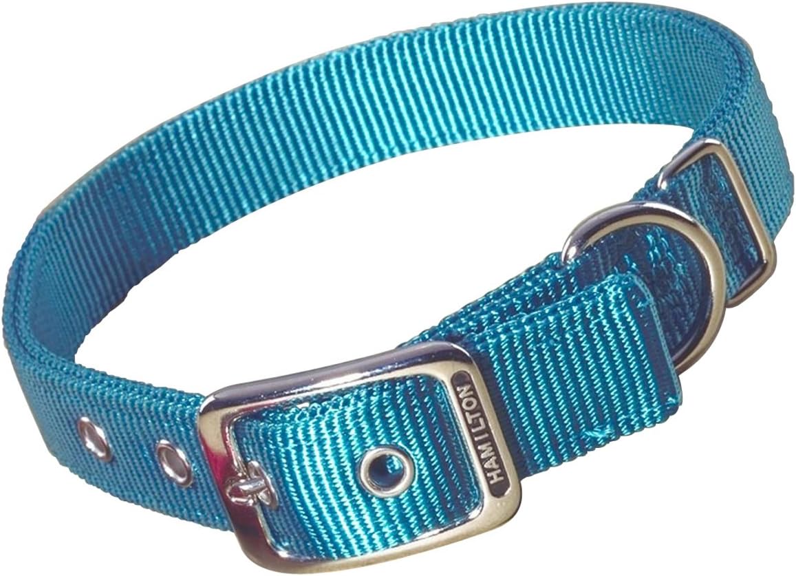 Hamilton Double Thick Nylon Deluxe Dog Collar, 1-Inch by 20-Inch, Teal