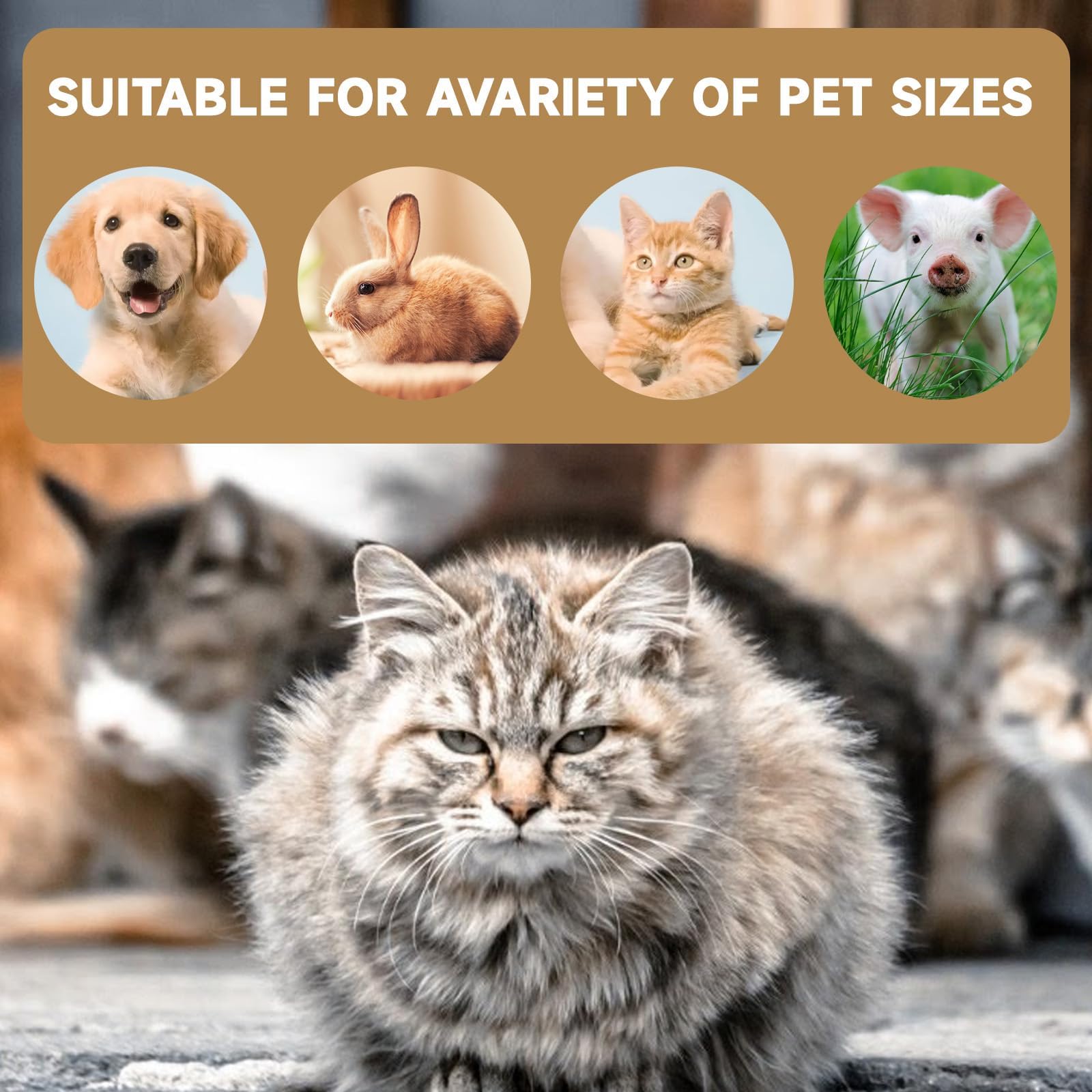 سرير مريح للقطط في الاماكن المغلقة، ناعم ودافئ وجيد التهوية، كيس نوم للقطط مصنوع من مواد امنة وغير سامة، مناسب لجميع المواسم، عش مثالي للحيوانات الاليفة، 61 × 51 سم، رمادي