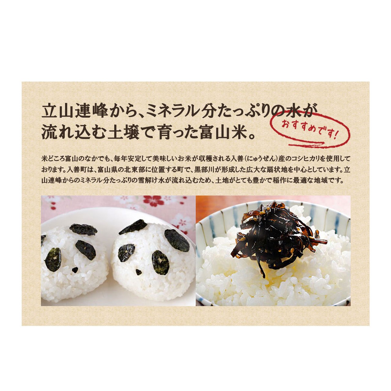 Amazon.co.jp: 【白米】富山県産 特選コシヒカリ(令和6年) 3kg