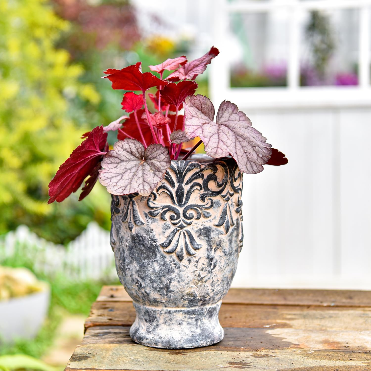 Amazon.co.jp: Sungmor 6.3インチ 植物用セメント植木鉢 多肉