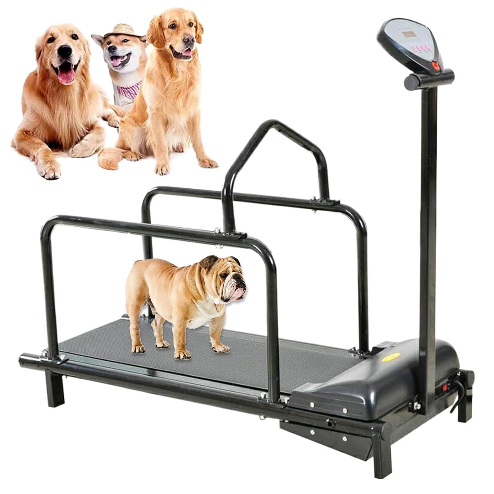 Hundelaufband, Hundelaufband für kleine Hunde, Haustierlaufband für Hunde, für kleine Hunde, Katzen und andere Haustiere Black