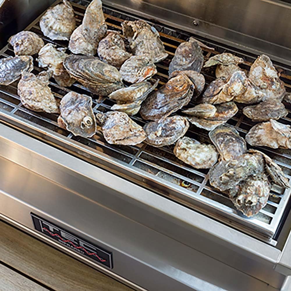 Tec G-sport Fr Series Infrared Smoker / Roaster - Gsrsmkr