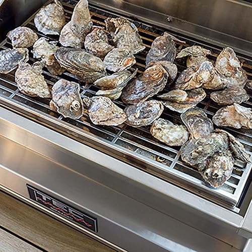 Miniatura 2 de Tec G-sport Fr Series Ahumador infrarrojo / tostador - Gsrsmkr