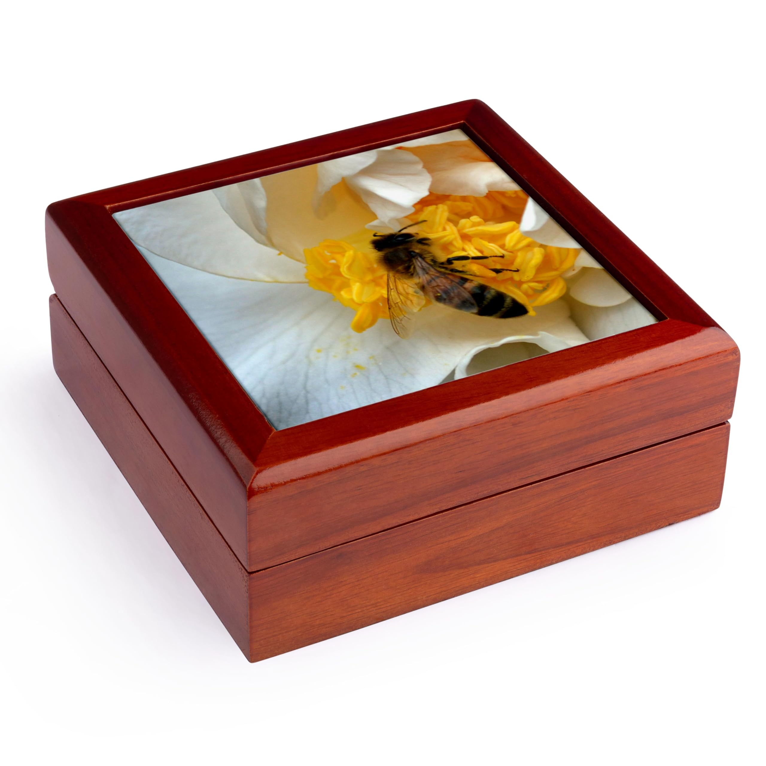 3dRose Closeup on a bee on a camellia flower, Jewelry Box jb-110061-1