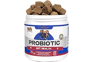 Probiotics for Dogs: Ultimate Digestive Health for Your Furry Friend