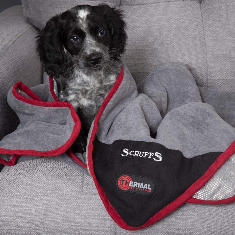 scruffs thermal dog bed