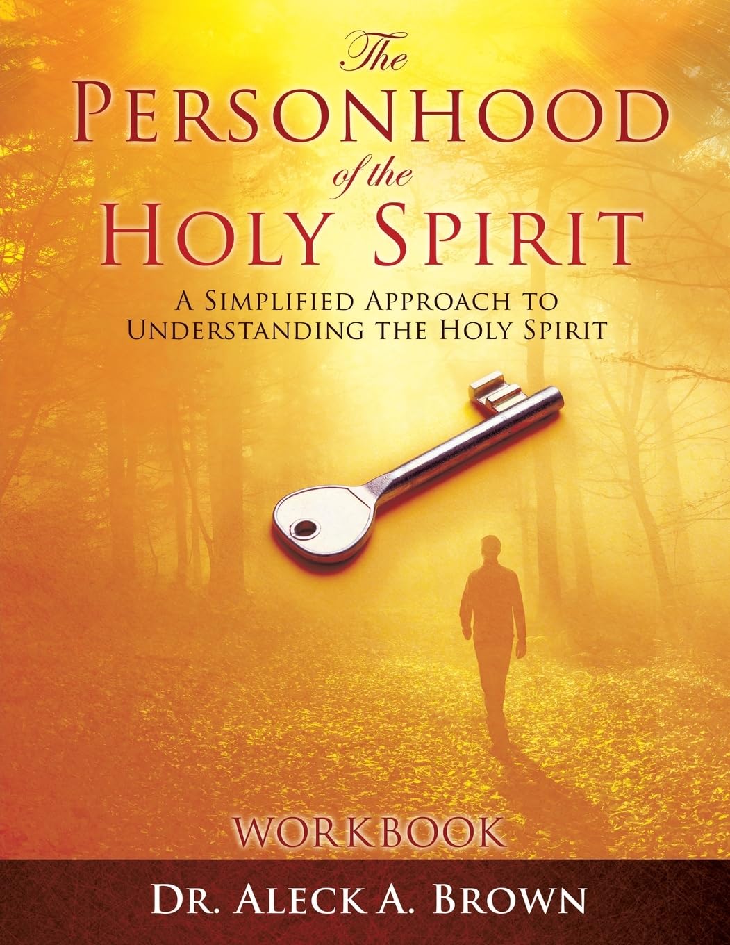 The PERSONHOOD of the HOLY SPIRIT: A Simplified Approach to Understanding the Holy Spirit Workbook: 0