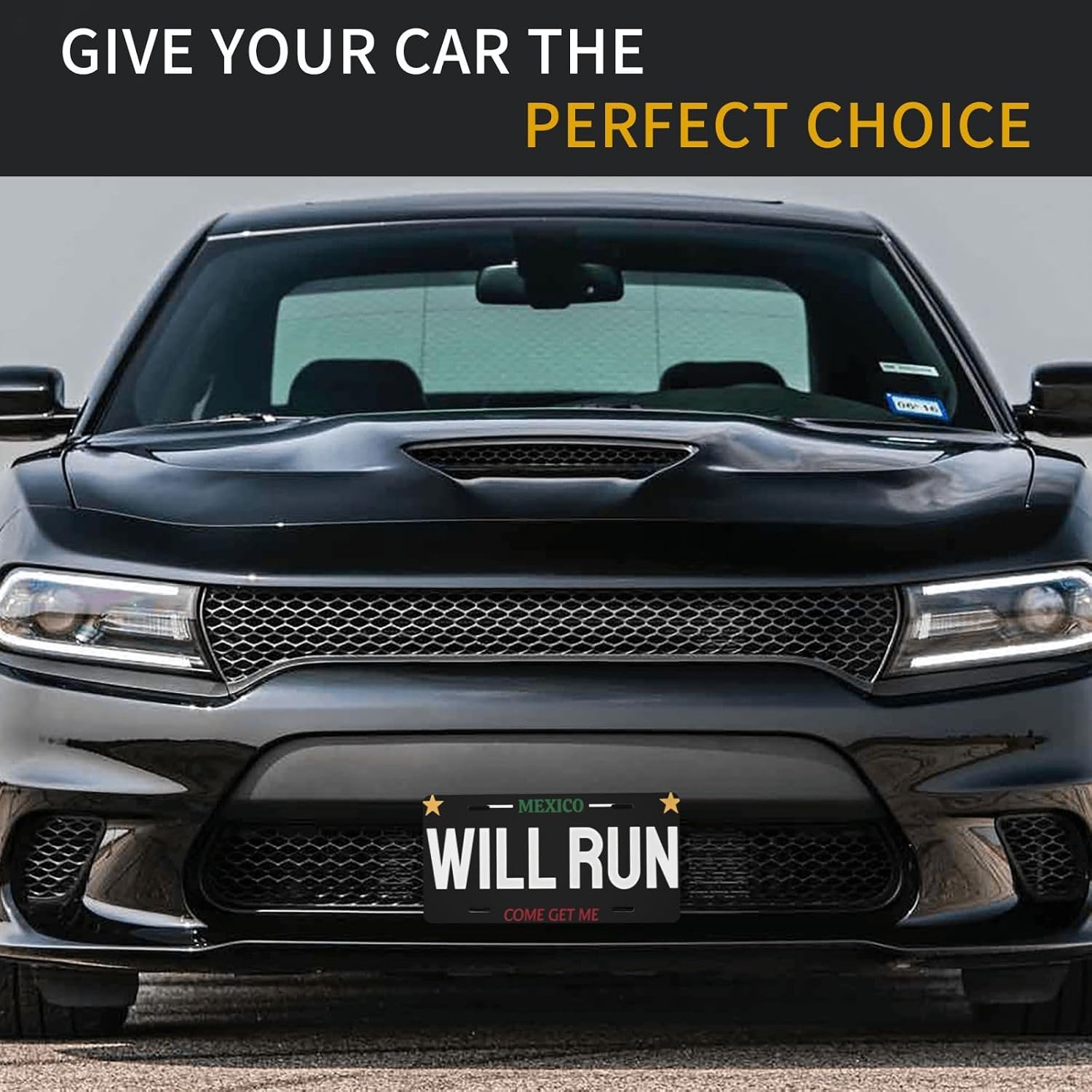 Will Run Mexico License Plate Decorative Metal Car Plate image 5
