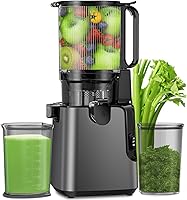 YPONE 5.8" Large Feed Chute Cold Press Juicer - 400W Slow Masticating Machine for Whole Fruits & Veggies, High Yield, Easy Clean