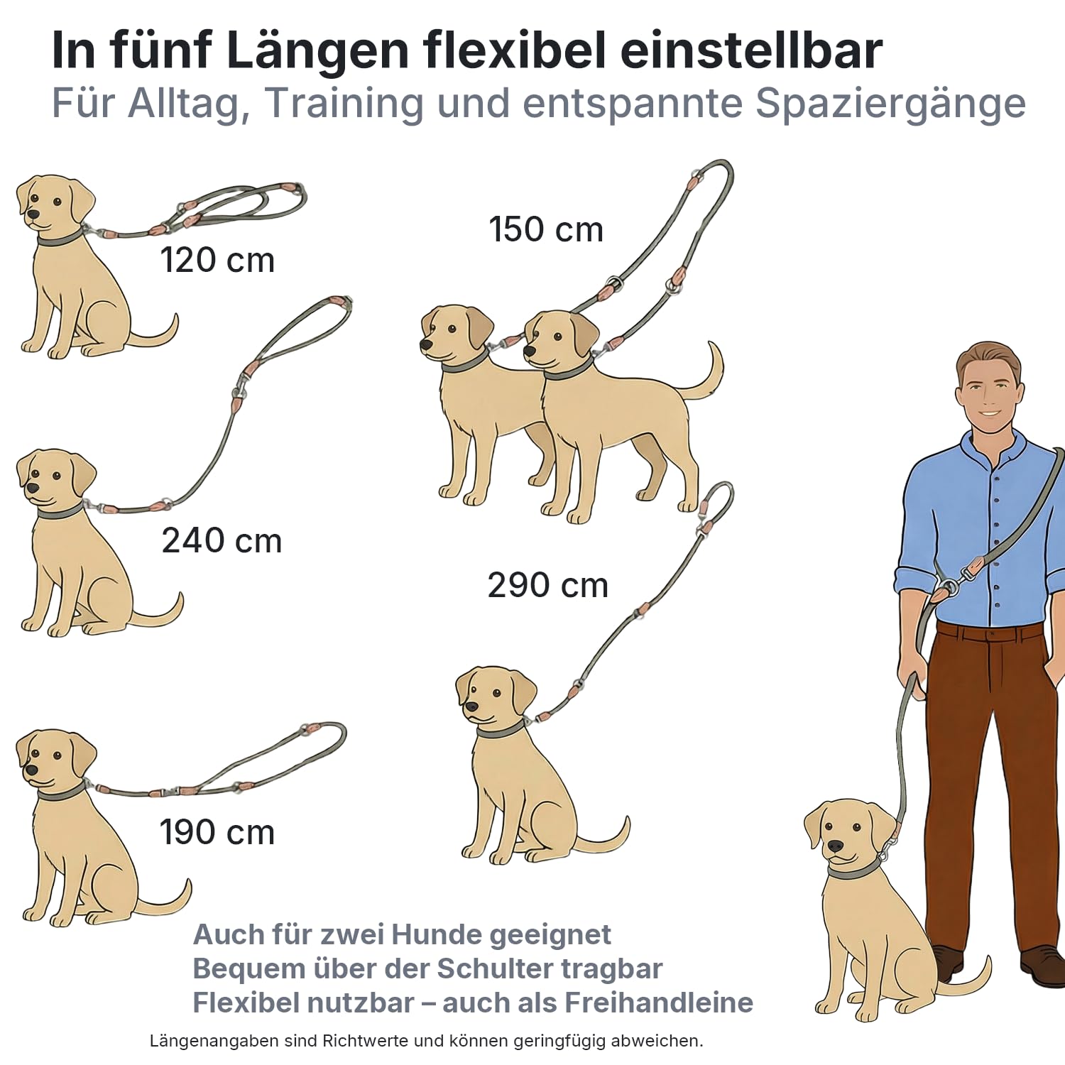 3 m Verstellbare Multifunktions-Hundeleine aus Nylon & Leder – Führ-, Schulter- & Hüftleine für kleine bis große Hunde – Robust für Training, Spaziergang & Joggen (Schwarz, 3m x 0.8cm)