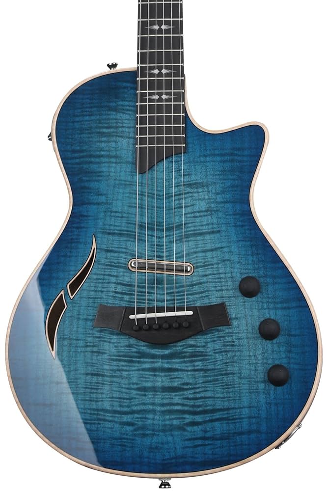 Taylor ギター ビルダーズエディションアコースティックギター | Taylor Guitars