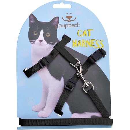 petsafe cat leash