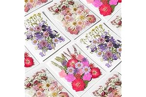 94 PCS Pressed Flower Variety Pack For DIY Crafts