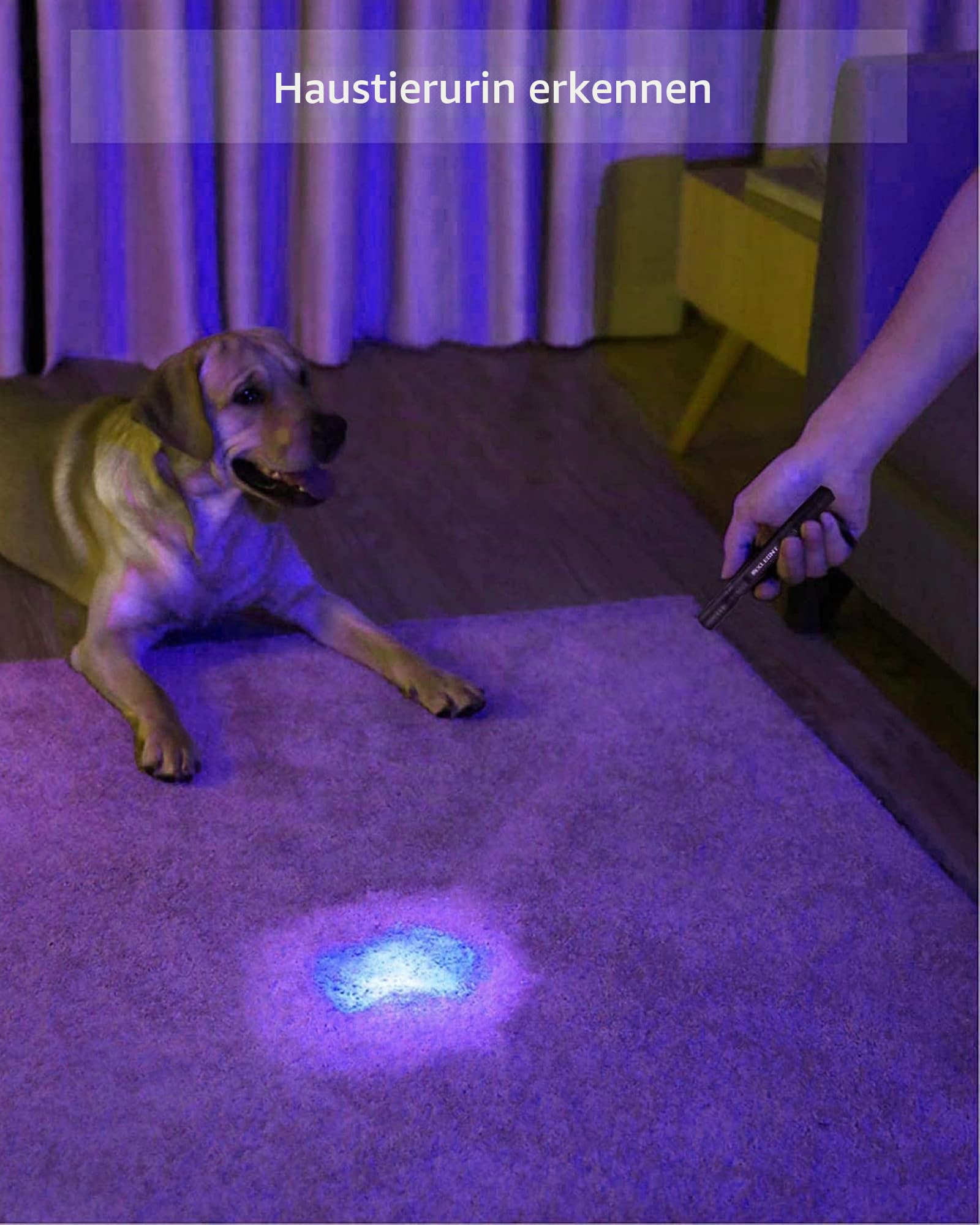 【UV Schwarzlicht-Taschenlampe 2 Pack 395nm Taschenlampe Stift Inspektionslampe für Haustierurin-Erkennung - Ideal für Hundekatzen-Urin-Haustierflecken, Bettwanzen auf Teppich/Teppichen/Boden