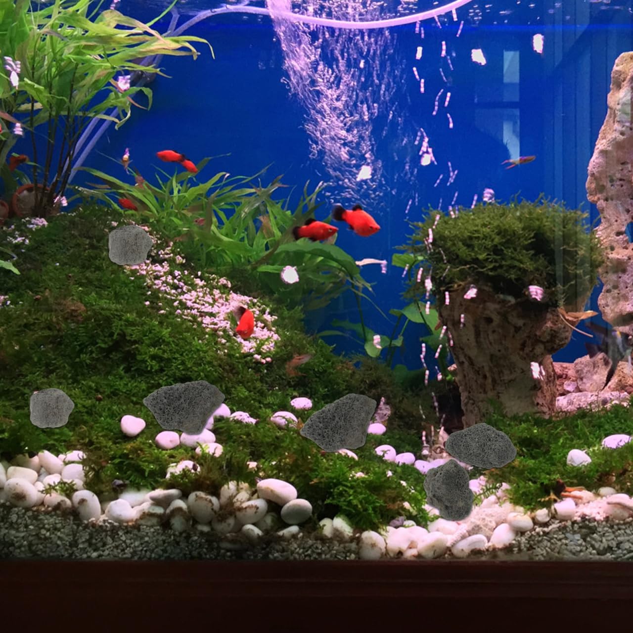 View 9
