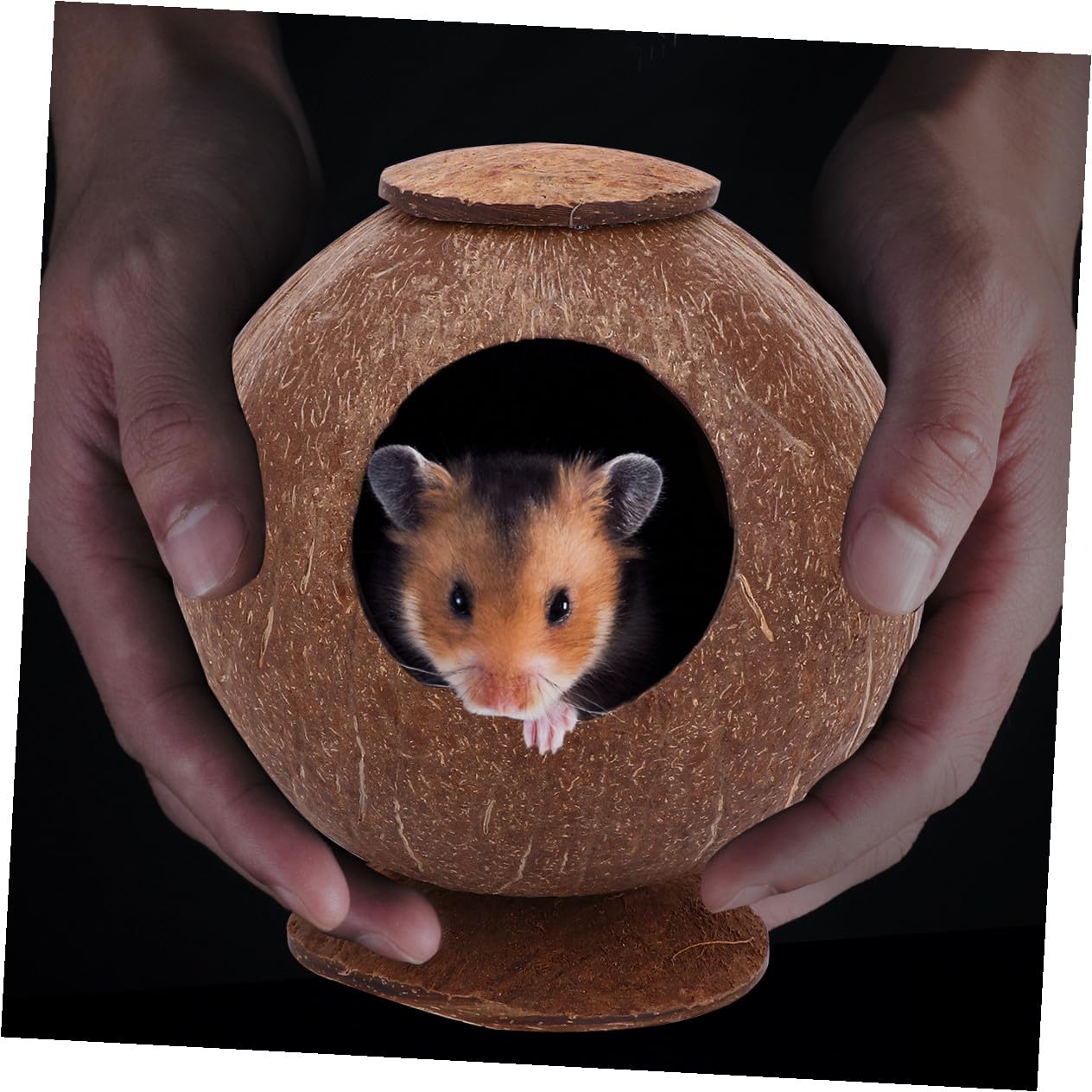 Sosoport 2stücke Poliertes Kokosnussschalen-Nest Für Haustiere Für Vögel Hamster Und Eichhörnchen Mit Basis Für Desktop Langlebig Und Natürlich Perfektes Schlafplatz Für Ihr Tier