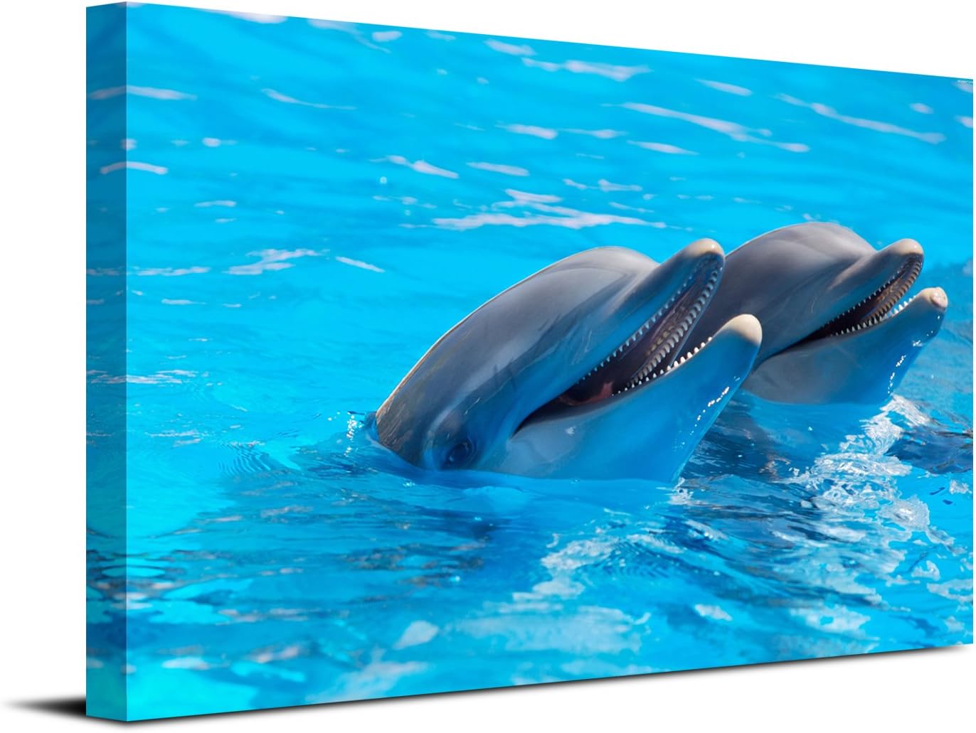 Royllent 1 Panel Framed Wall Art 16x24inch Dolphin Swim Painting The Picture Print On Canvas For Home Decor Decoration Gift piece (Stretched By Wooden Frame,Ready To Hang) RA-CP0049