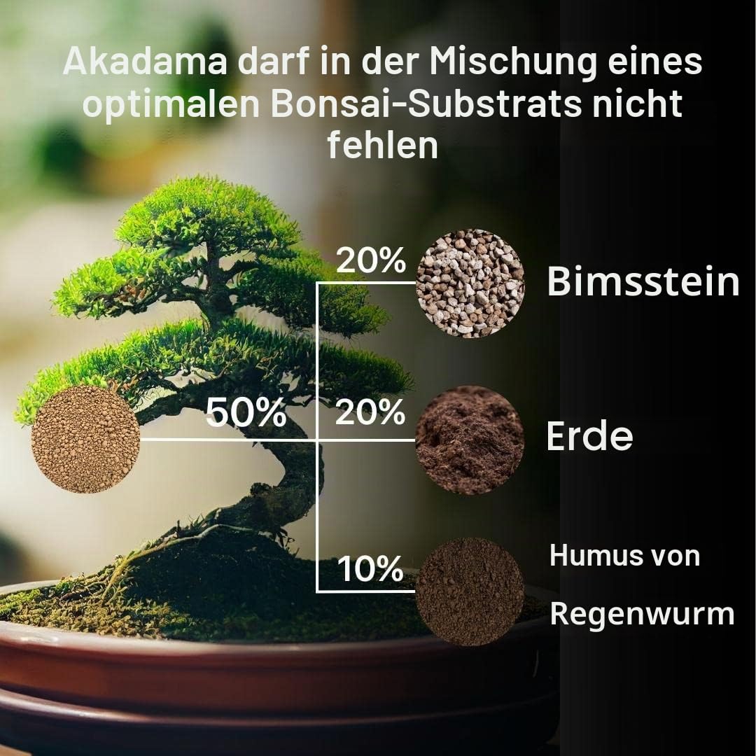 ZOMA Akadama für professionelle Bonsai Körner 2-5 mm, Japanischer Ton für Bonsai und Sukkulenten harte Sorten, Vulkan-Substrat, Drainage und Anti-Rückstauung - 1,5 L