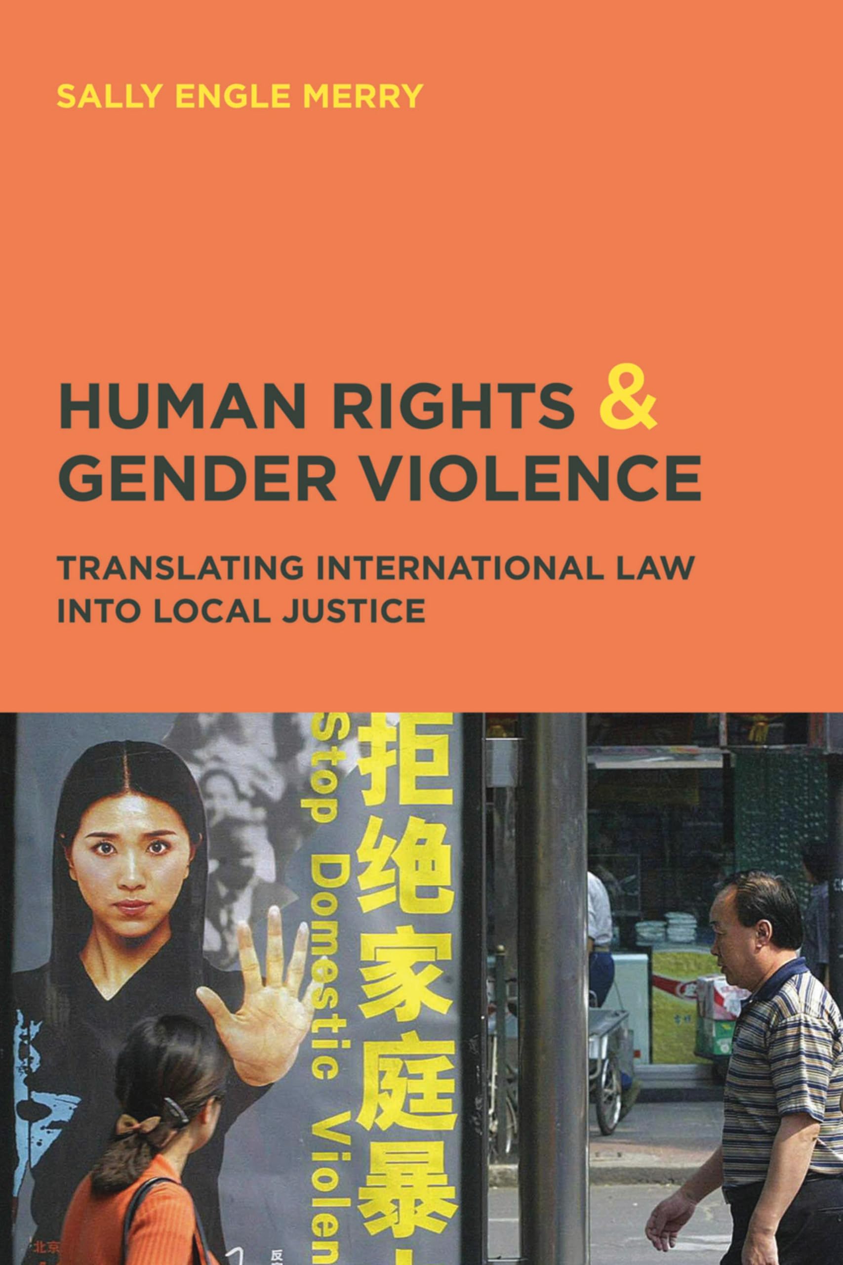 Human Rights & Gender Violence: Translating International Law into Local Justice (Chicago Series in Law and Society)