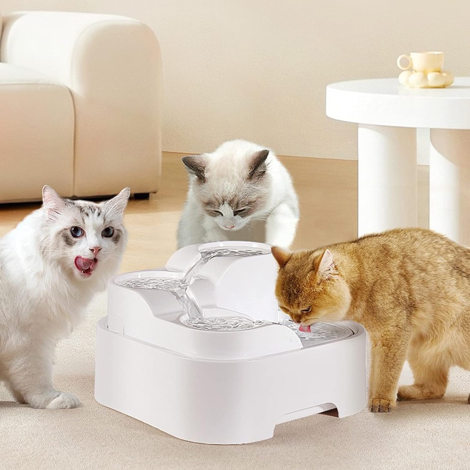 Cats Water Fountain Filtered Automatic Pet Dog Drinking Bowl Dispenser with 4 Layer Filtration Quiet 67Oz Cats Fountains Drinking Quiet Small Pet Automatic Small Dog Fountains Filtered