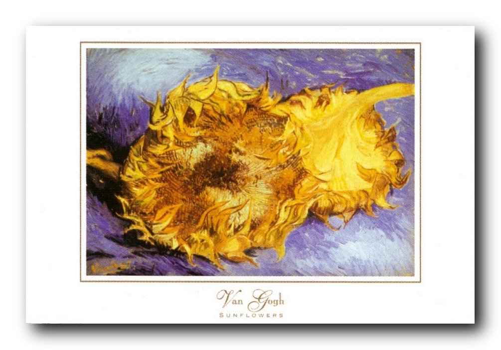 Vincent van Gogh ひまわり 絵画　ポスター　大型 Amazon.co.jp: Vincent Van Goghひまわり花柄フラワー壁装飾アート