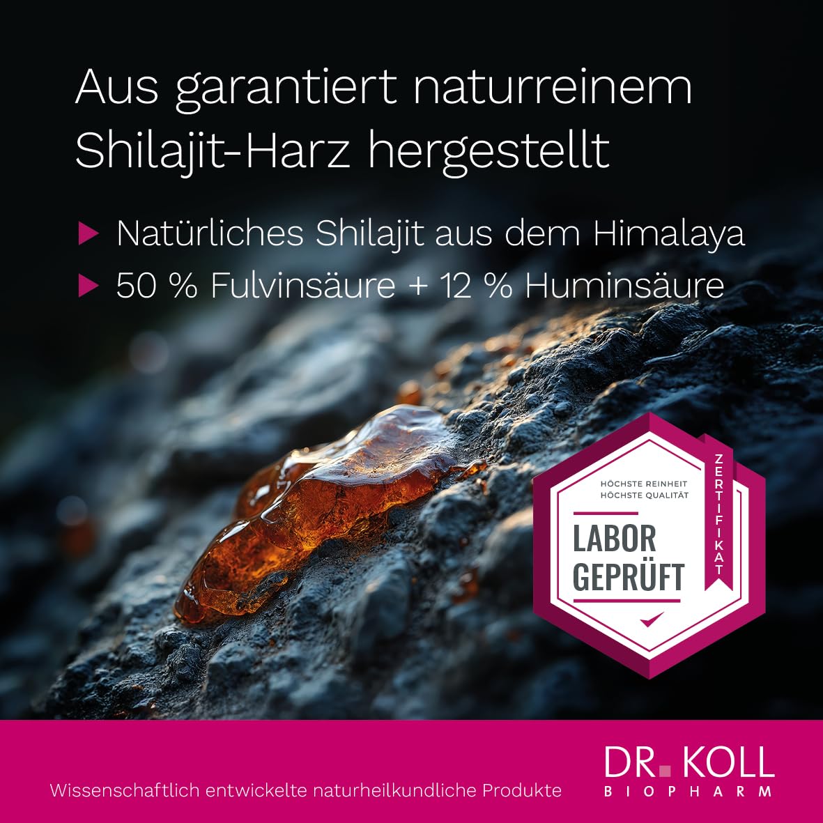 Shilajit Premium-Kapseln von Dr. Koll – hochkonzentriert 1.300mg & naturrein direkt aus dem Himalaya, laborgeprüft – 60 Kapseln, MADE IN GERMANY – vegan, gelatinefrei, laktosefrei, glutenfrei