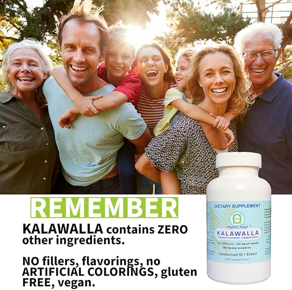 Organic Hope High Potency Polypodium Leucotomos Immune Support